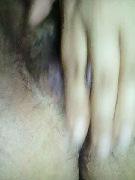 เห็นหมีไหมครับ